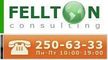 Fellton Group