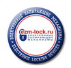 ЭЗМ; Электронные Запирающие Механизмы