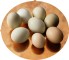 VeldCom.ru