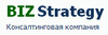 BIZ Strategy